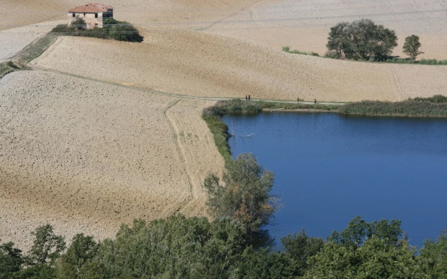 Amazing Chianti Site Olmo&pini Shared Poo