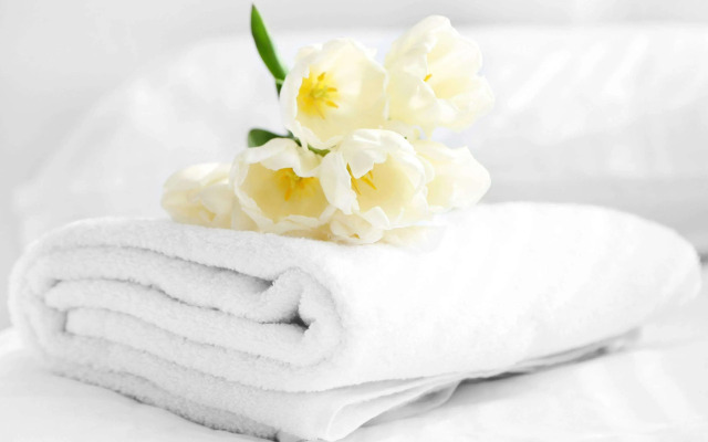 Econo Lodge Inn & Suites Ocean Springs - Biloxi