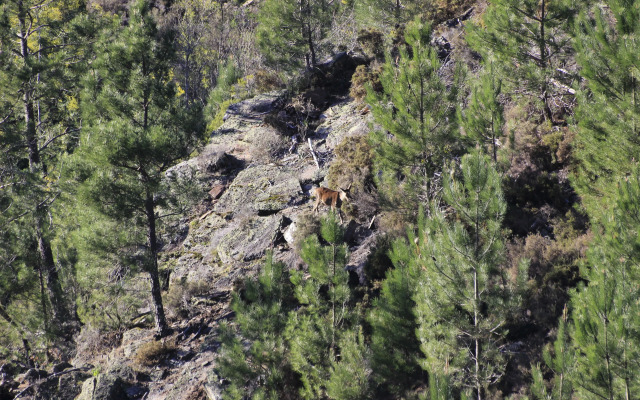 Residencial Martinho