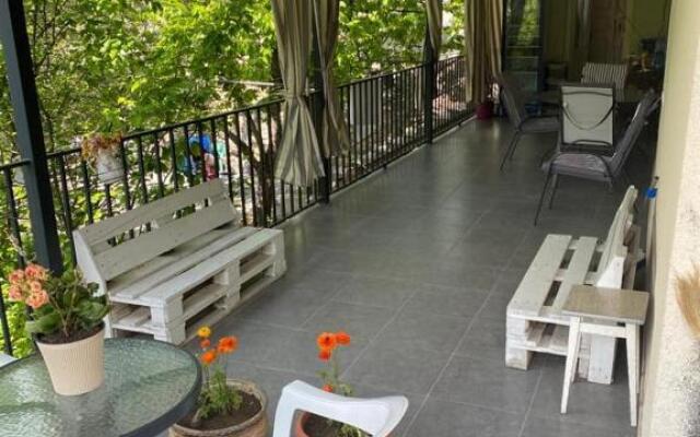 Guest House Sarajishvilze