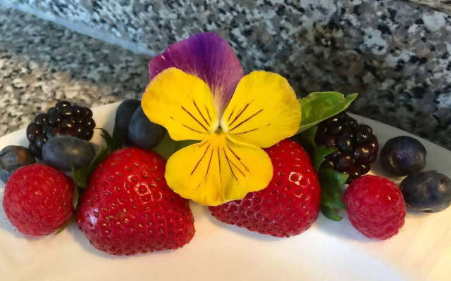 Serenity Ranch Bed & Breakfast