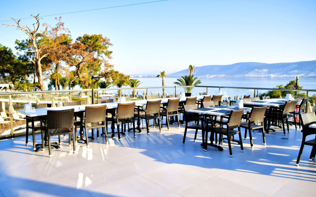 Long Beach Club Nature
