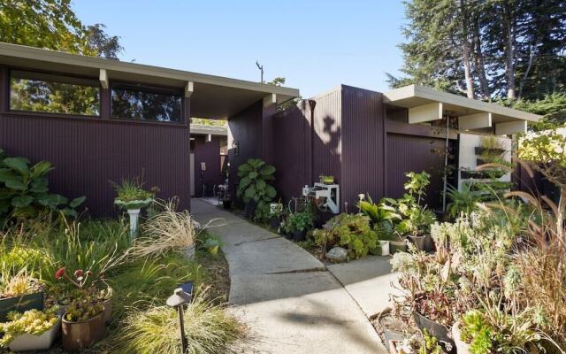 Cute and Cozy Studio in Palo Alto