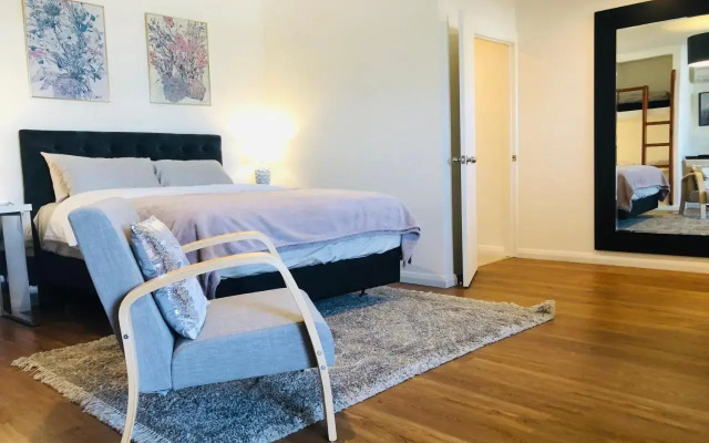 Luxury Studio in Dunedin Central