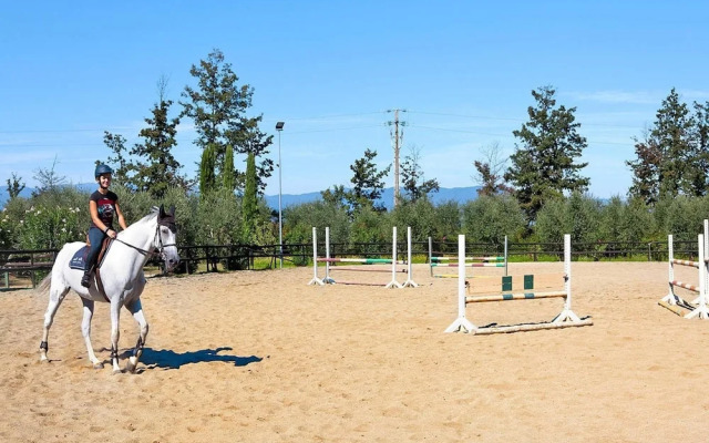 Apartment in Vinci With Pool and Wellness