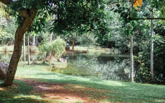 Sama Retreats - Kosgoda