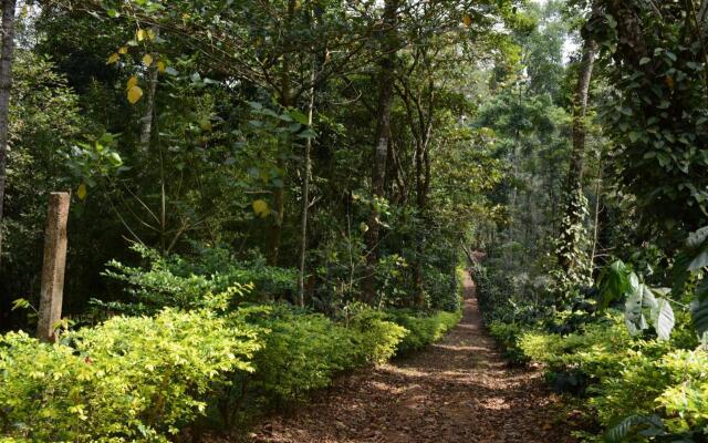 Heights Farm Stay - Coffee Estate Stay