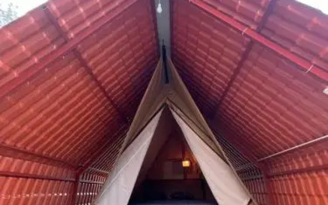 Trippr Chikkamagaluru