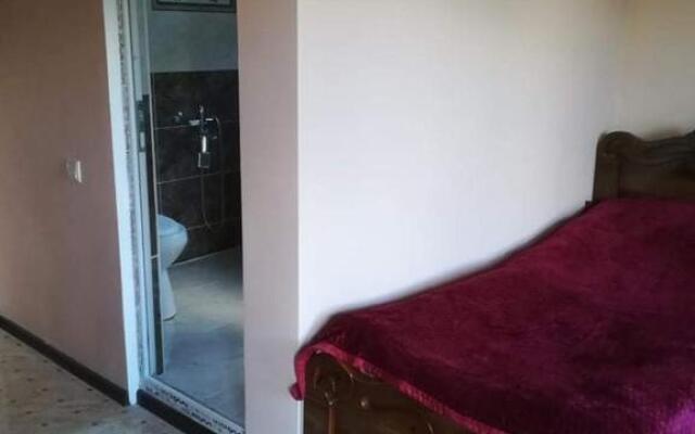 Valodia Guest House In Mestia