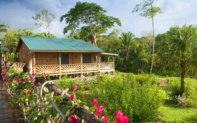 Dream Valley Belize