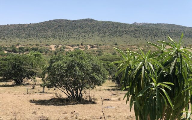 Explore Nature Mara Lodge