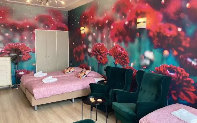 Plato by Hofstad Studios