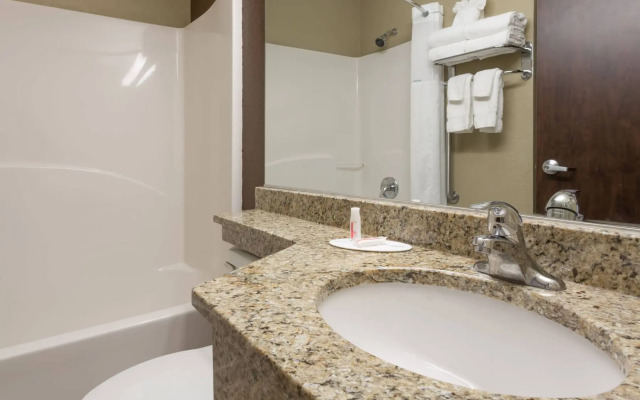 Microtel Inn & Suites by Wyndham Jacksonville Airport