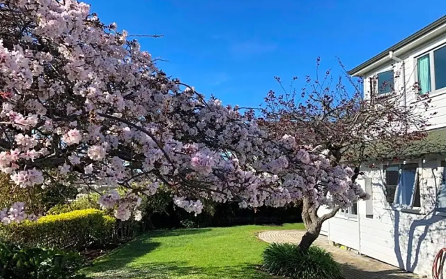 Chez Tiaré - The Loft Apartment