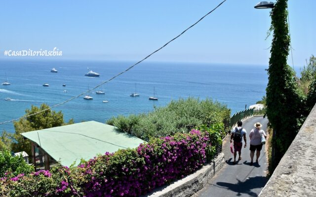 One Bedroom Apartment In Sant'angelo With Terrace Sea View - Casa Di Iorio