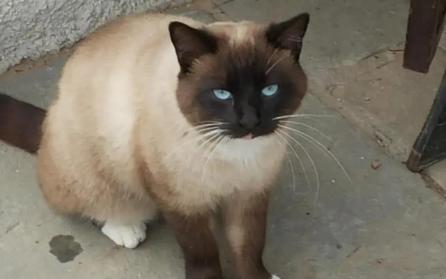 Agriturismo Vigna Mai