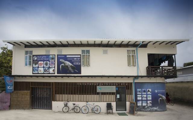Surf Yoga Camp
