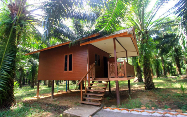 Khaosok Palmview