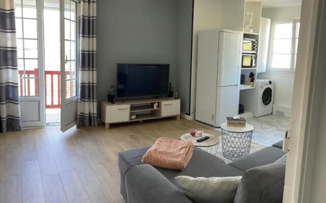 Appartement vue sur la Rhune