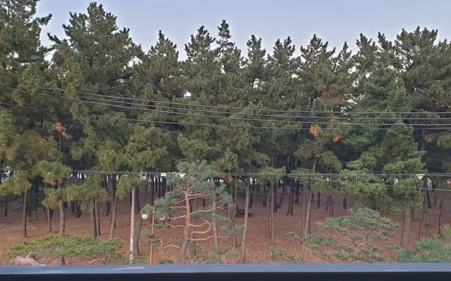 Gangneung Gangmunae Guest House