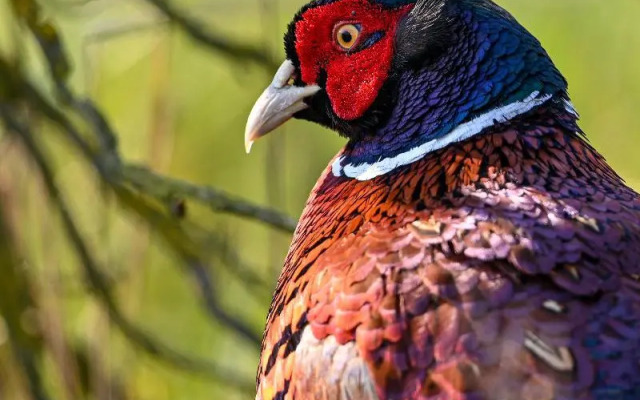 Your Nature Eco Resort