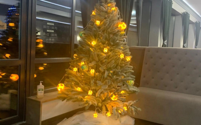 Карпатський Готель Олександрія