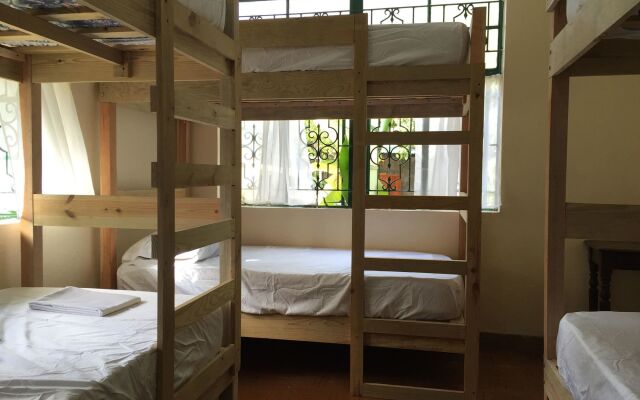 Backpackers Hostel