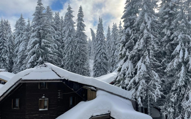 Apartman 19 "Vila Zvončica"