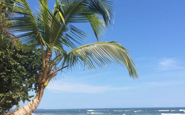 Las Casitas de Playa Negra