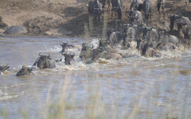 Losokwan Luxury Tented Camp - Maasai Mara