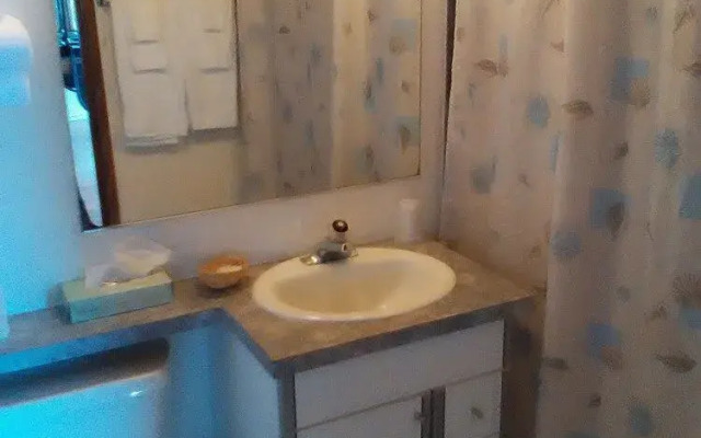 Curley's Resort & Dive Center