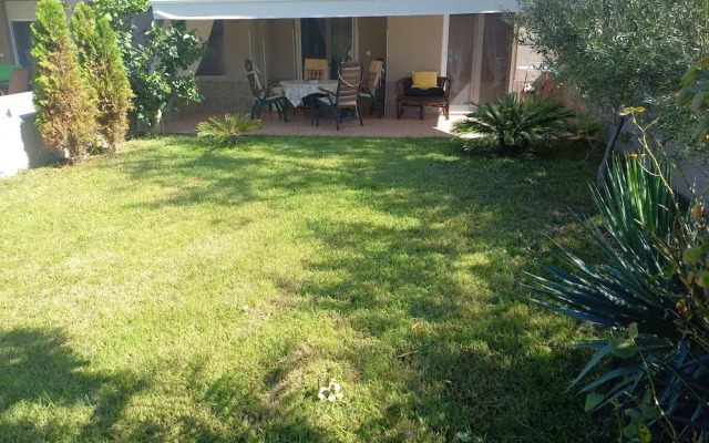 Palm Garden Apartment