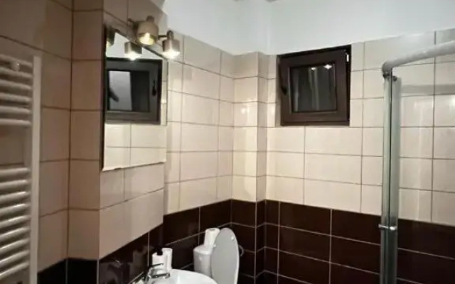 Central Studio Bucur