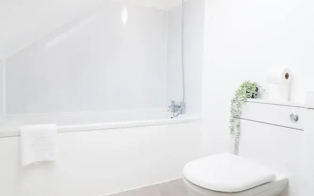 Cosy and Bright 1-bedroom Stay