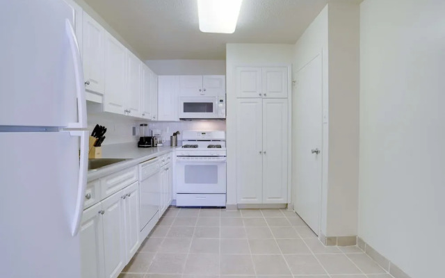 Beautiful & Spacious Apt in Crystal City