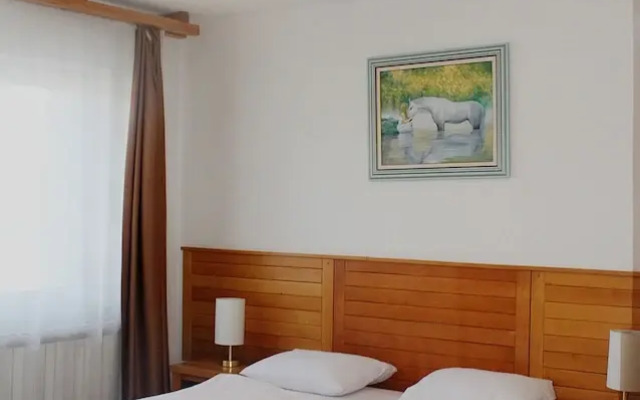 Hotel Borovi Sjenica