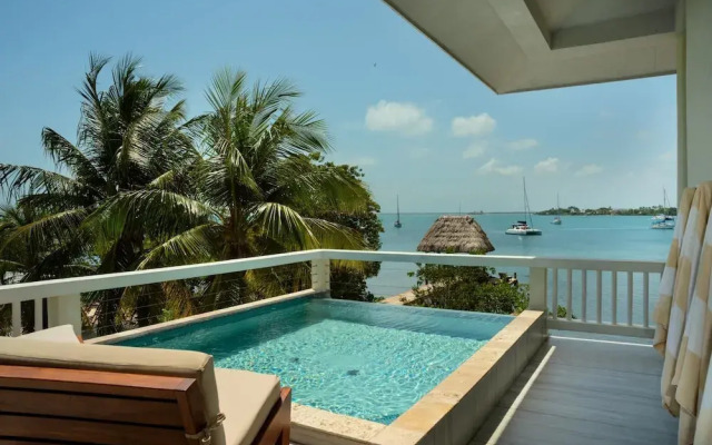 Villa Island Time Gecko