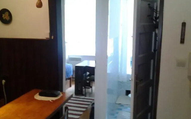 Apartment Ilijanic