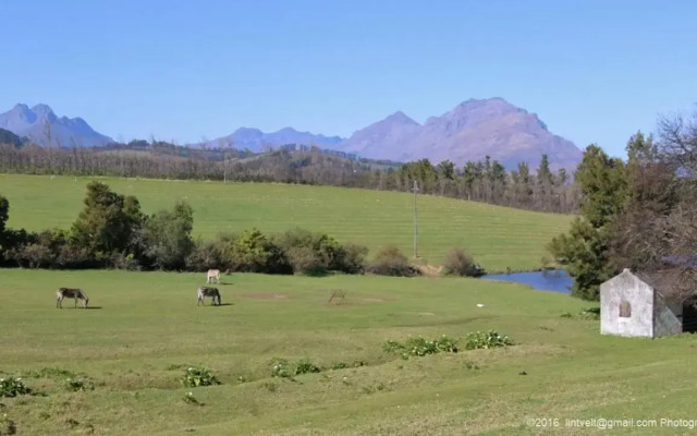 Wildlife Retreat on a Wine-Farm