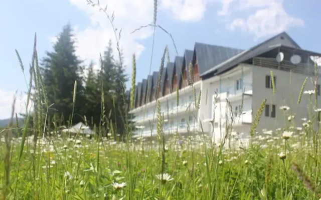 Bakuriani Resorts Hotel