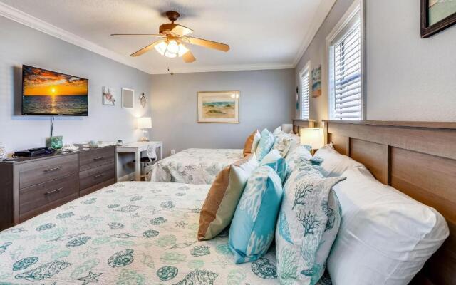 Sea Shell 14 - Premier