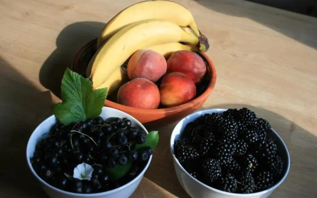 Kuća za odmor Botanika