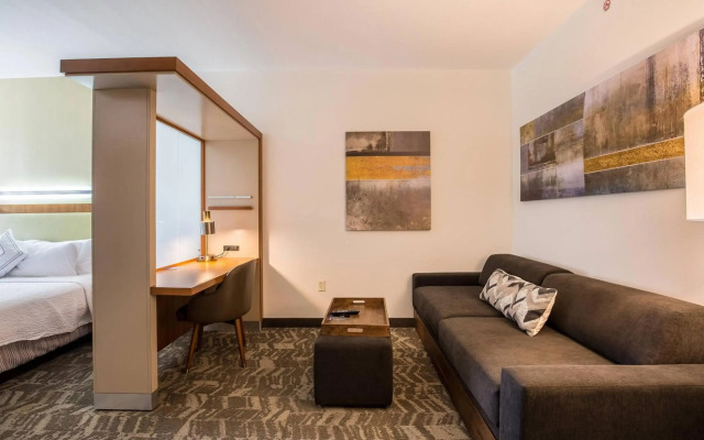 SpringHill Suites by Marriott-Houston/Rosenberg