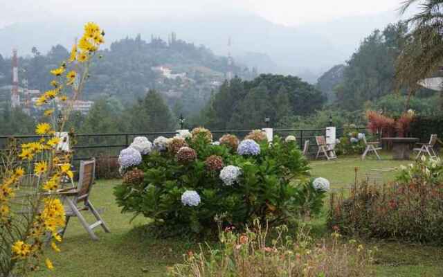 The View Villa