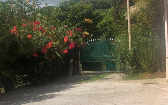 Bel appartement dans écrin de verdure