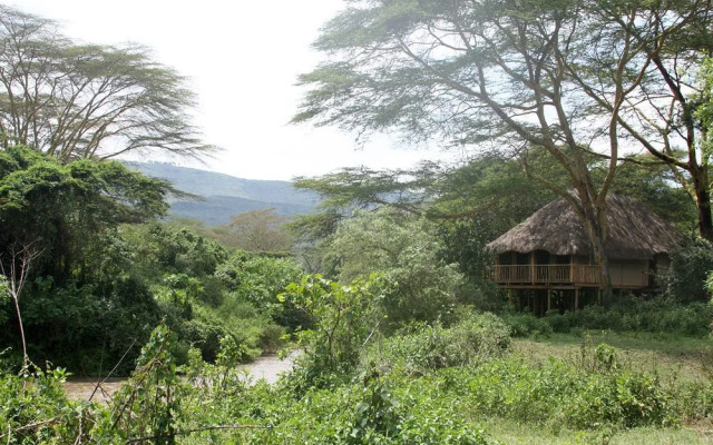 Kigio Wildlife Camp
