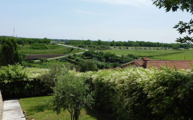 Mansion in Mason With Garden, Garden Furniture, Bicycles