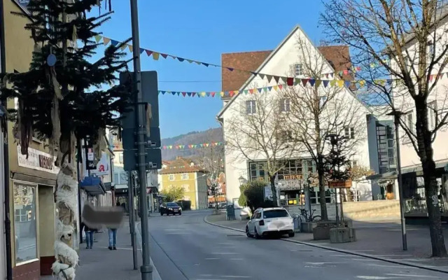Wehr Orchidee Apartment