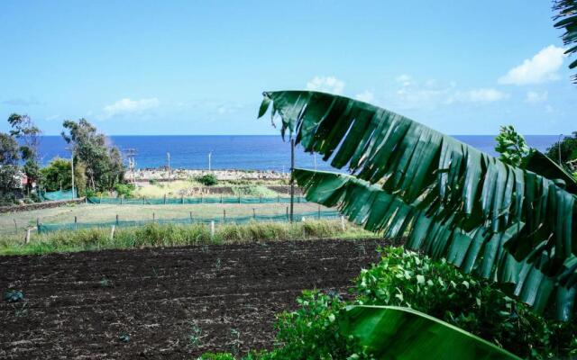 Cabañas Keuhenua