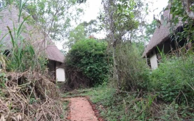 Jungle lodge Kibale